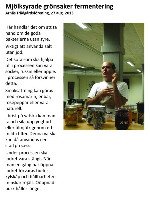 Mjölksyrade grönsaker fermentering