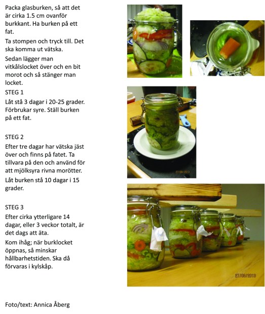 Mjölksyrade grönsaker fermentering