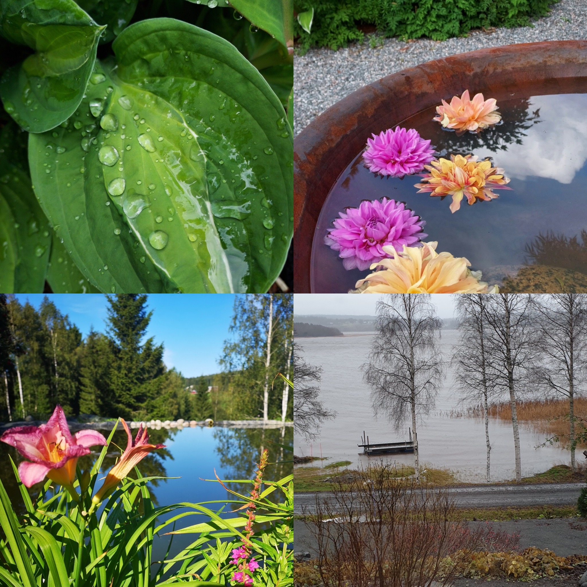 4 vatten BB8534F5-6A9B-410A-8EDB-0C9EEE1D0BA0 (1)