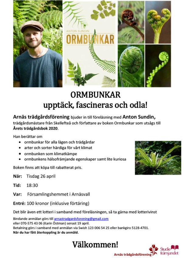 Affisch Ormbunkar1024_1