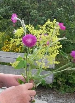 Bukett 11880875_1611962409068046_603559511_n (2)