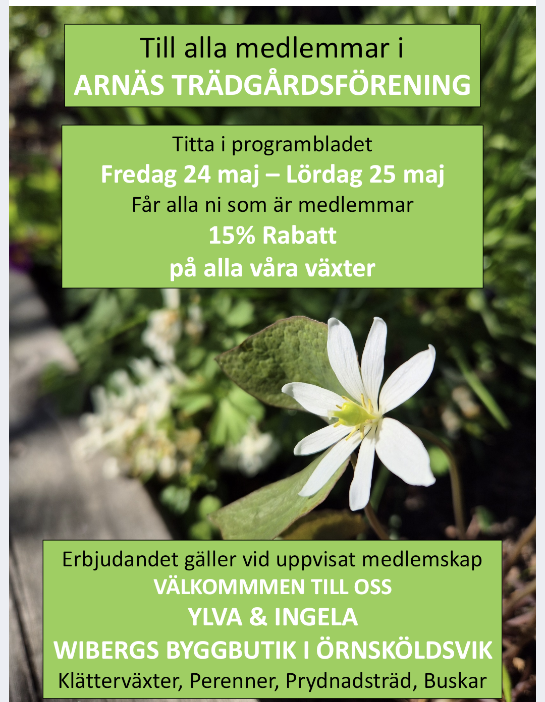 screenshot_20240524-2250352