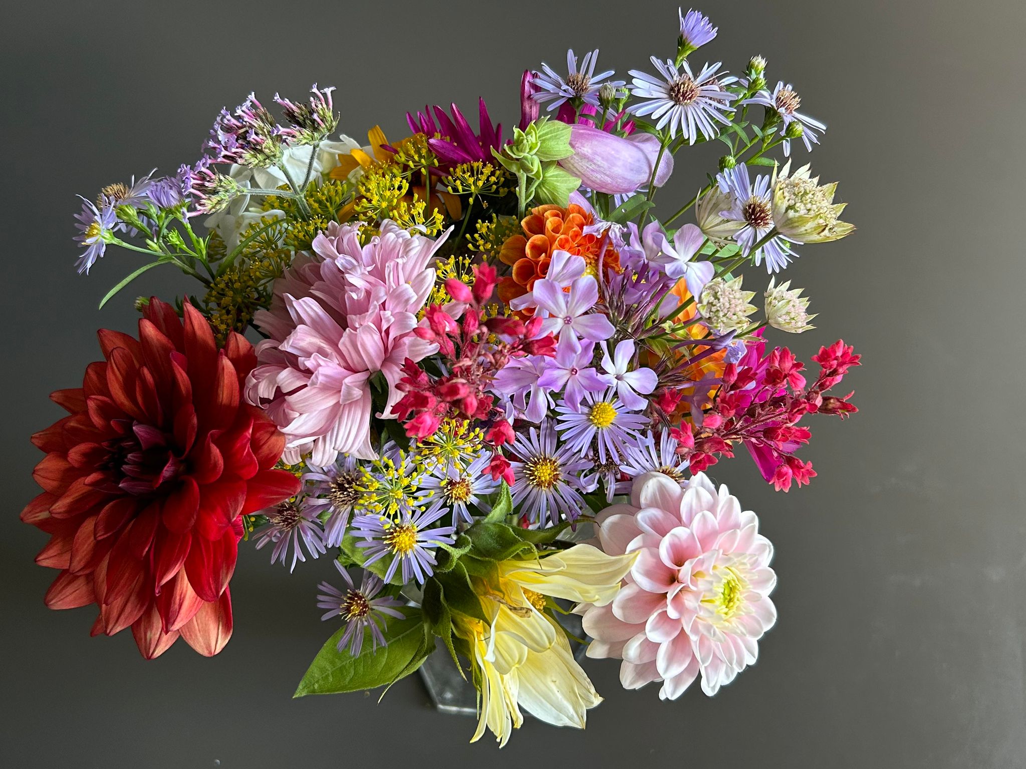 454145456_1019285256304261_6070487645825065282_n